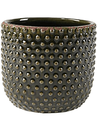 Кашпо Bolino pot green (упаковка 12 шт.)