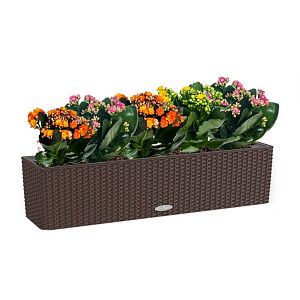 Каланхоэ макси в кашпо с автополивом lechuza, мокко, 40 см.