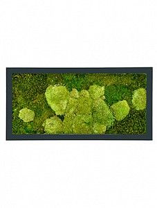 Картина из мха v stiel ral 7016 mat