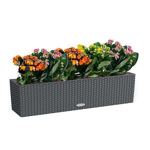 Каланхоэ макси в кашпо с автополивом lechuza, гранит, 40 см.