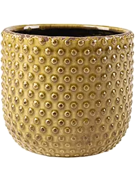 Кашпо Bolino pot yellow (упаковка 12 шт.)